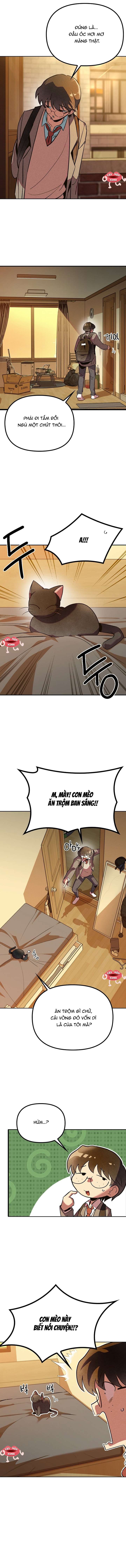 Thiếu Nữ 12 Con Giáp Chap 1 - Trang 3