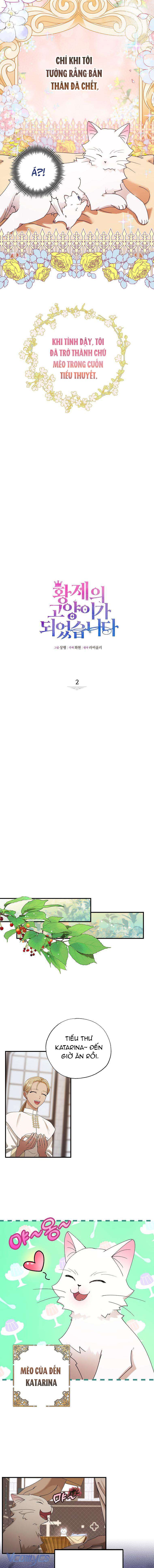 Trở Thành Miêu Nữ Của Hoàng Đế Chapter 2 - Next Chapter 3