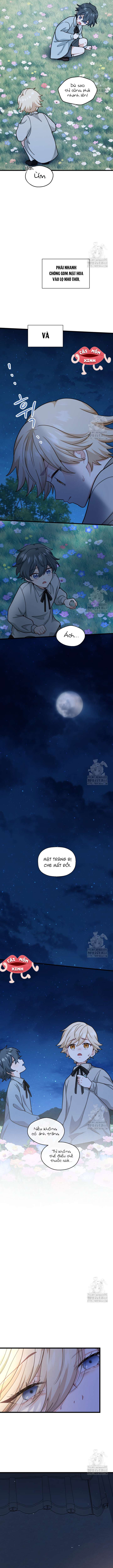 Bệ Hạ, Xin Hãy Quên Tôi Đi Chap 16 - Trang 3