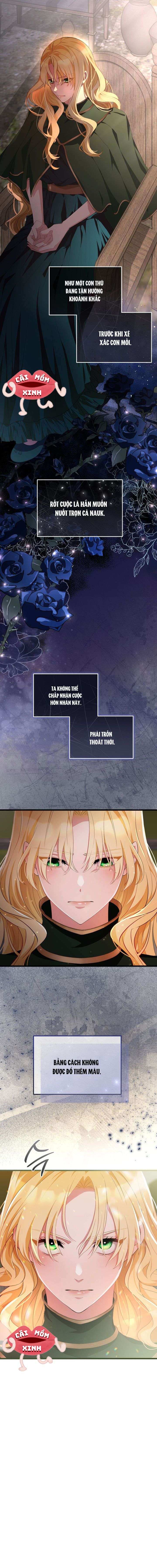 Lời Cầu Hôn Hoang Dã Chap 1 - Trang 3