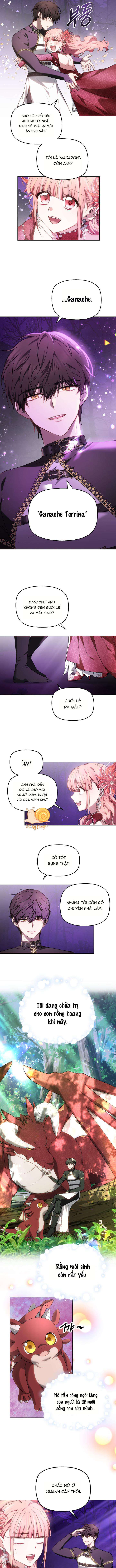 Tiểu Thư Mạnh Mẽ Muốn Trở Nên Yếu Đuối Chap 2 - Next Chap 3