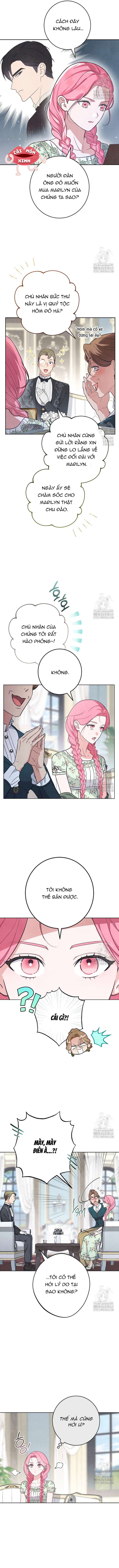 Nỗi Ám Ảnh Dành Cho Công Tước Phu Nhân Chap 2 - Trang 2