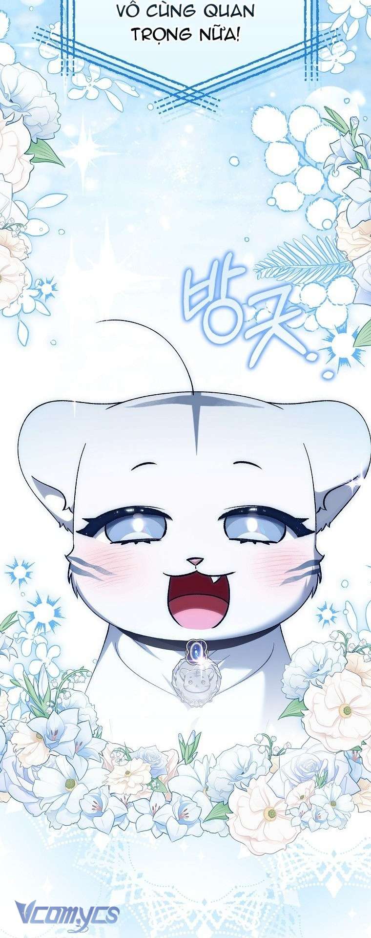 Công Chúa Bạch Hổ Không Có Nguy Hiểm Nha! Chap 19 - Trang 2