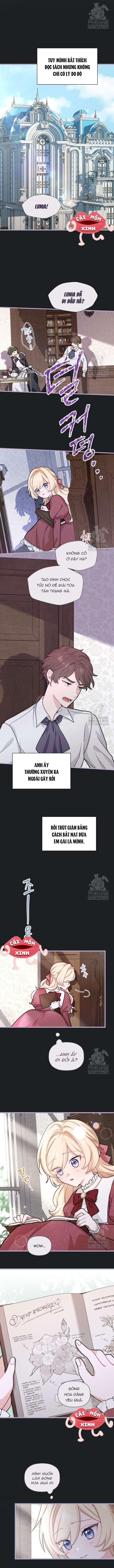 Bệ Hạ, Xin Hãy Quên Tôi Đi Chap 10 - Trang 3