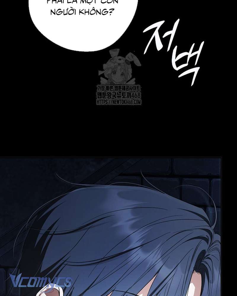 Các Nam Chính Đã Bị Nữ Phụ Cướp Mất Chap 69 - Trang 2