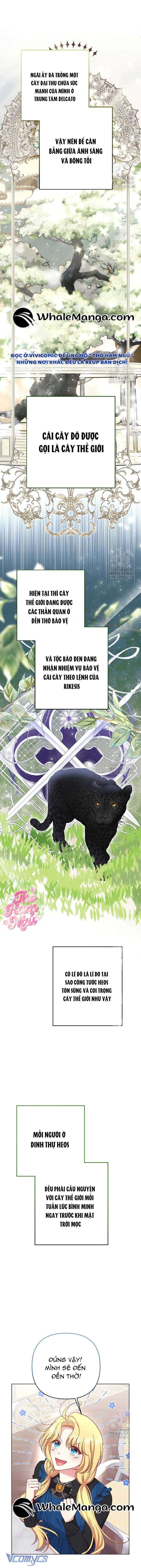 Nàng Vịt Chờ Ngày Hủy Hôn Chap 13 - Trang 2