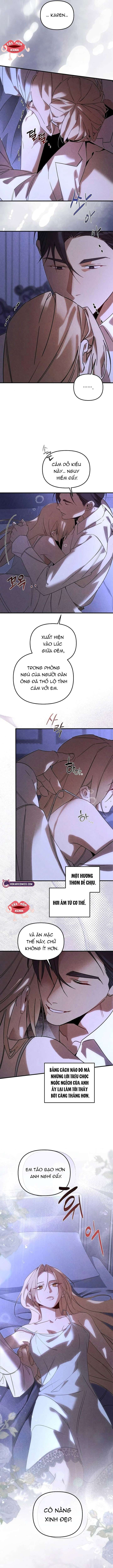 Nơi Đóa Hồng Vàng Úa Tàn Chap 26 - Trang 2