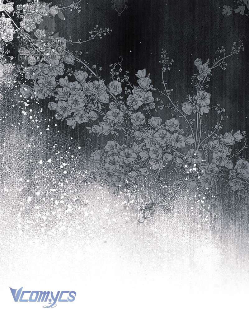 Các Nam Chính Đã Bị Nữ Phụ Cướp Mất Chap 66 - Trang 2