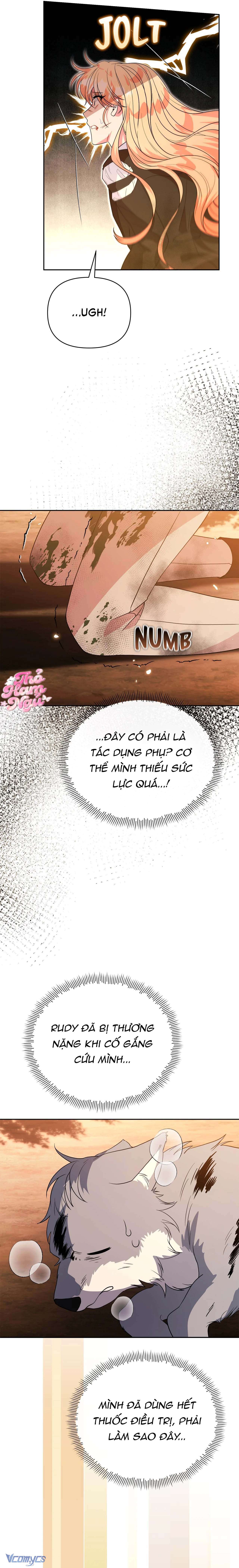 Có Nhiều Nam Chính Quá Đi! Chap 50 - Trang 2