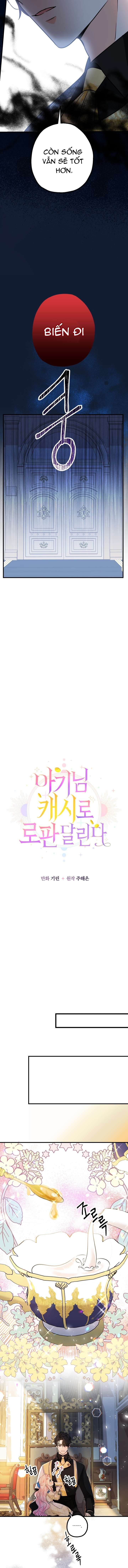 [PNT] Tiểu Thư Tích Tiền Đi Bụi Chap 14 - Trang 2