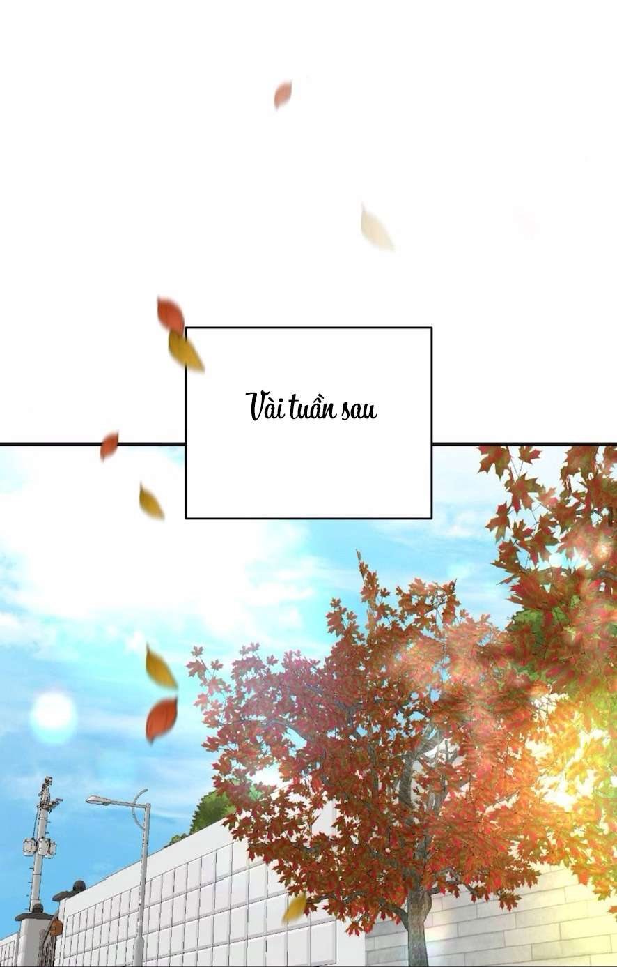 Chiếm Lấy Em Chap 8 - Next Chap 9