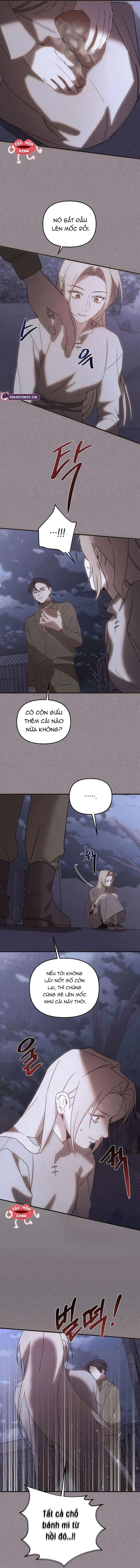 Nơi Đóa Hồng Vàng Úa Tàn Chap 28 - Trang 2