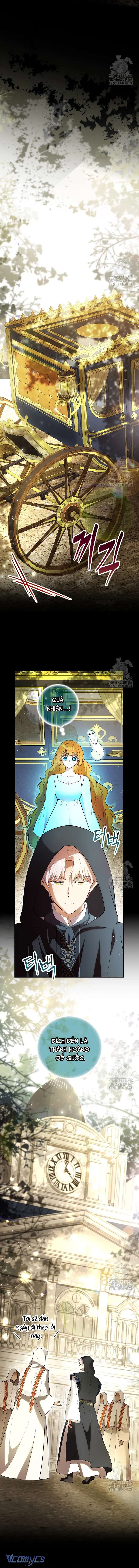 Sóc Con Tài Năng Chap 107 - Trang 2