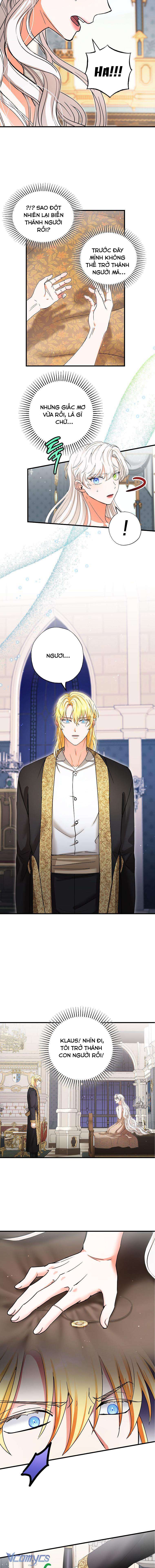 Trở Thành Miêu Nữ Của Hoàng Đế Chapter 23 - Trang 4