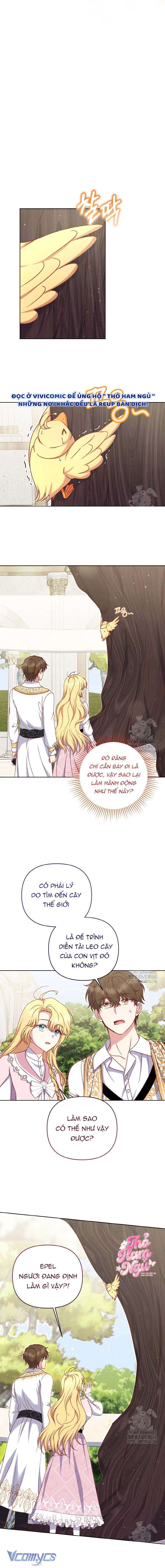 Nàng Vịt Chờ Ngày Hủy Hôn Chap 22 - Trang 2