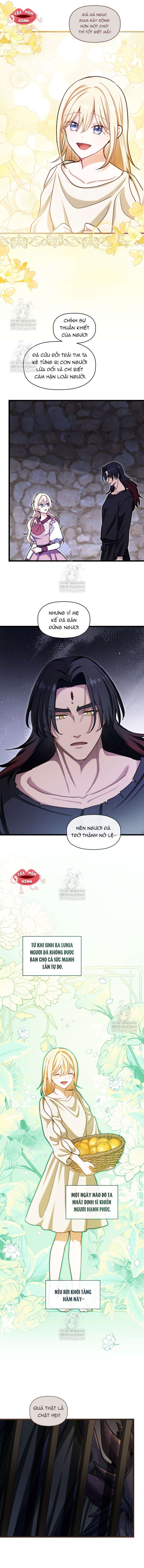 Bệ Hạ, Xin Hãy Quên Tôi Đi Chap 58 - Trang 2
