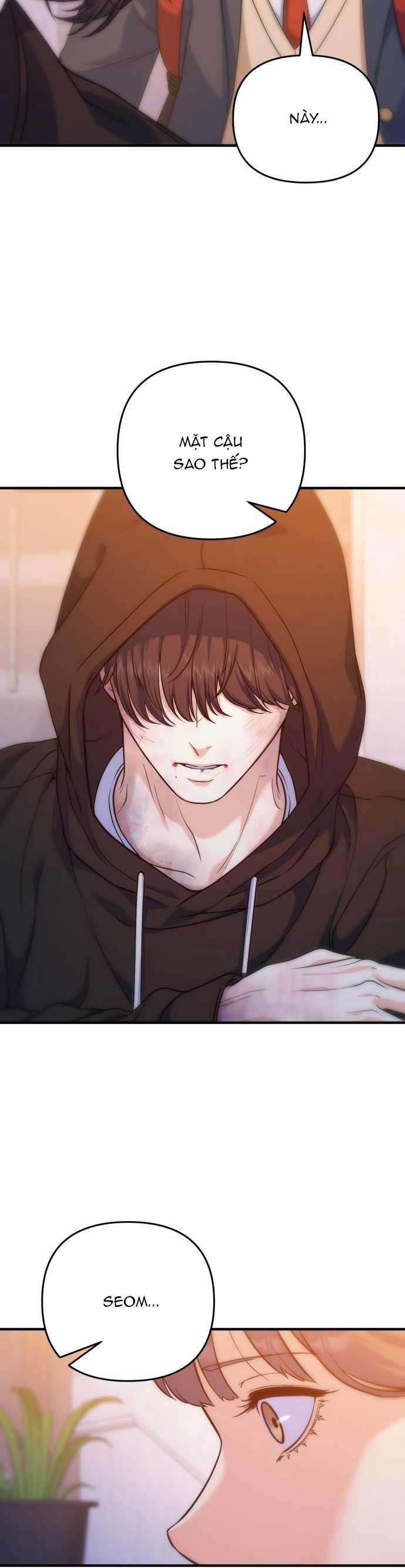 Vì Một Kết Thúc Viên Mãn Cho Đôi Ta Chap 13 - Trang 2