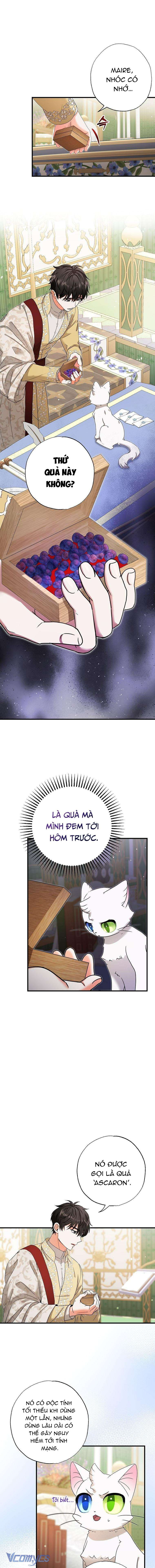Trở Thành Miêu Nữ Của Hoàng Đế Chapter 17 - Trang 4