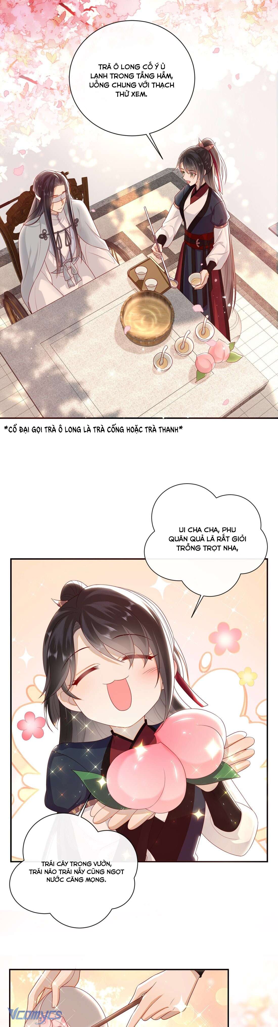 Đại Lão Phải Gả Cho Phu Quân Mù! Chap 22 - Trang 2