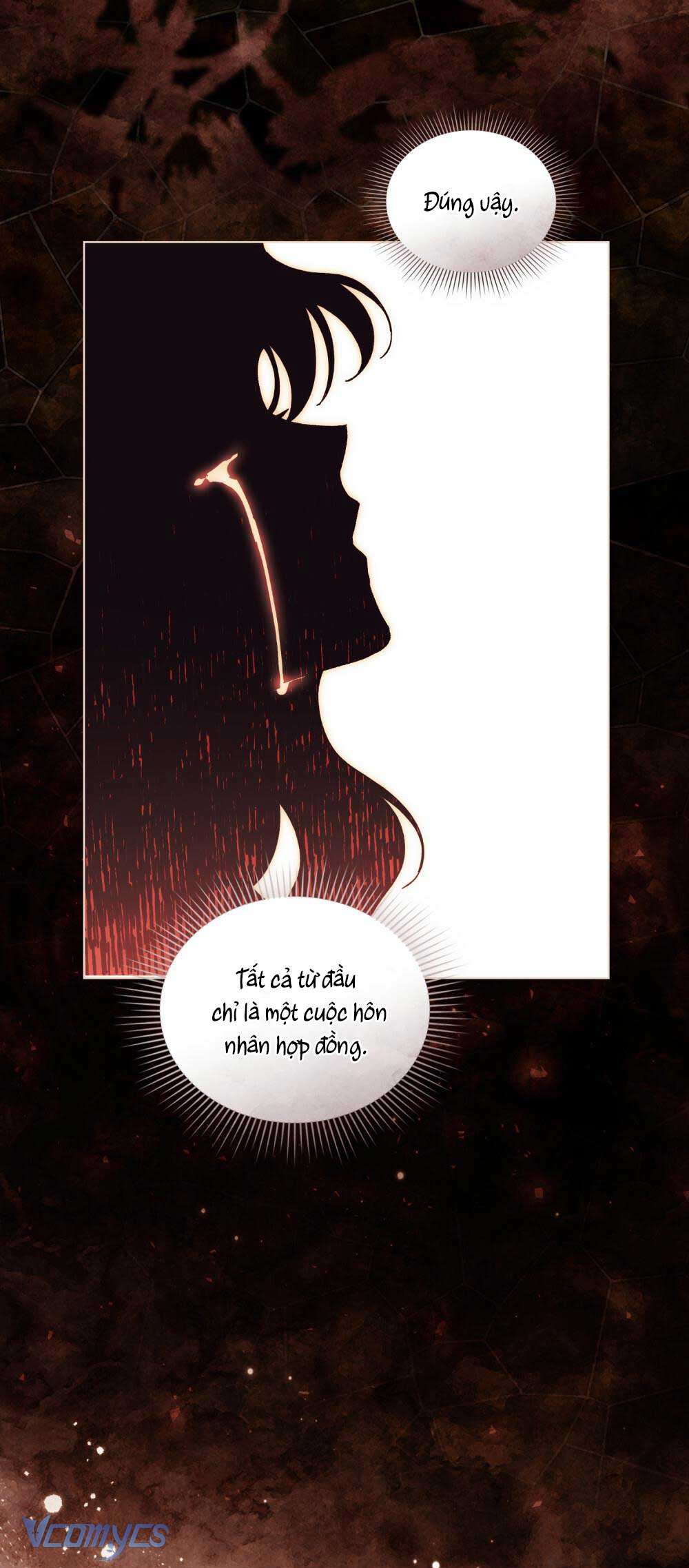 Hôn Nhân Khế Ước Chap 53 - Trang 3