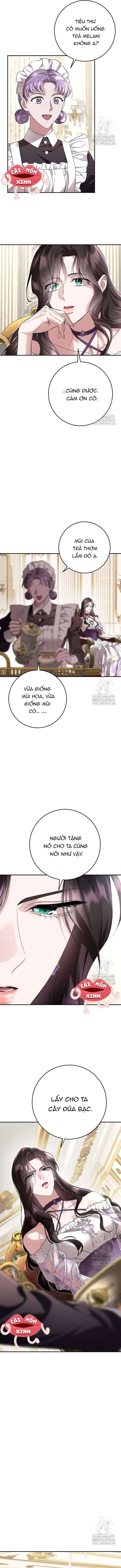 Cuộc Hôn Nhân Bị Bắt Cóc Xuyên Thời Gian Của Hoàng Hậu Chap 16 - Trang 4