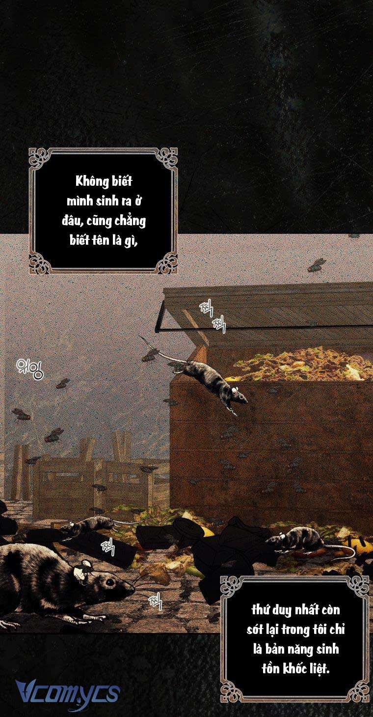 Tôi Bị Cắn Bởi Chú Chó Tôi Đã Bỏ Rơi Chap 79 - Trang 2