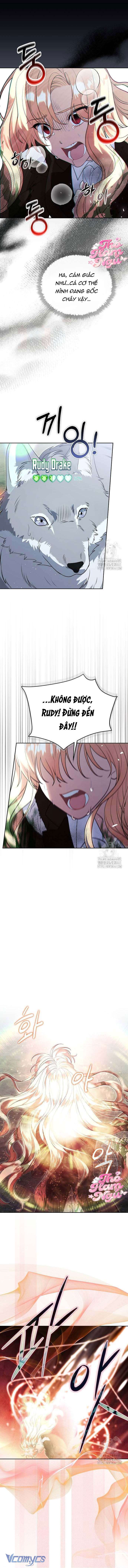 Có Nhiều Nam Chính Quá Đi! Chap 49 - Trang 2