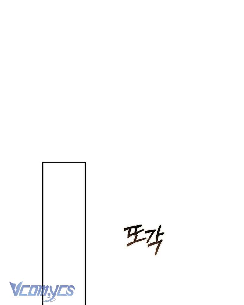 Các Nam Chính Đã Bị Nữ Phụ Cướp Mất Chap 68 - Trang 2