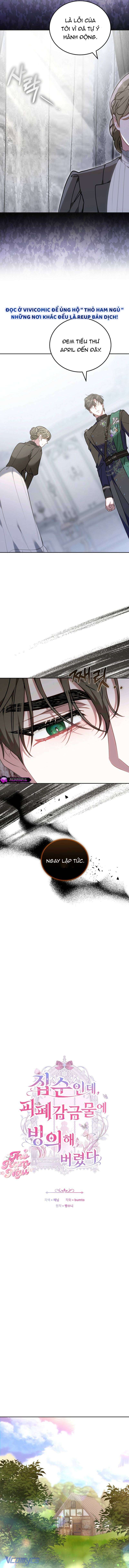 Mặc Dù Thích Ở Nhà Nhưng Tôi Lại Xuyên Vào Thể Loại Giam Cầm Đen Tối Chap 15 - Trang 2