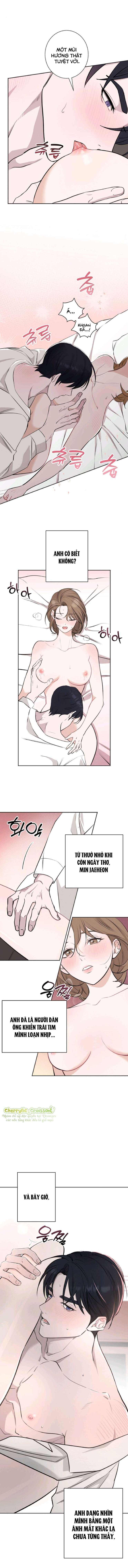 『18+』Cuộc Hôn Nhân Chính Trị Đó, Tôi Sẽ Nhận Chap 1 - Trang 2