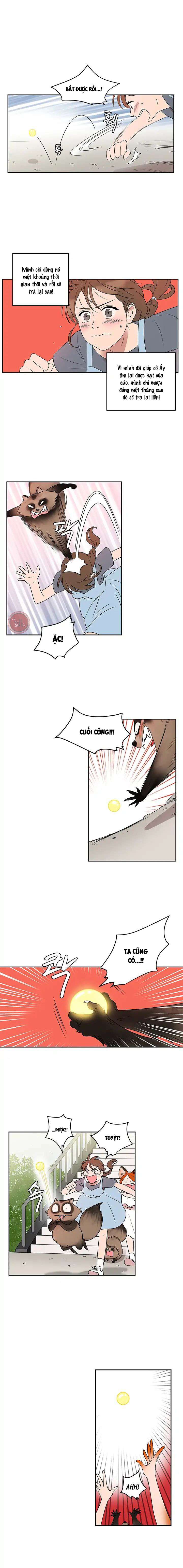 Cô Nàng Pháp Sư Chap 12 - Trang 2