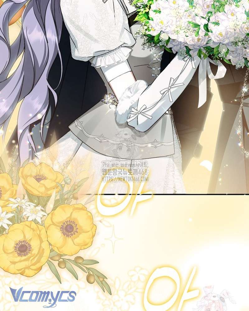 Các Nam Chính Đã Bị Nữ Phụ Cướp Mất Chap 63 - Trang 2