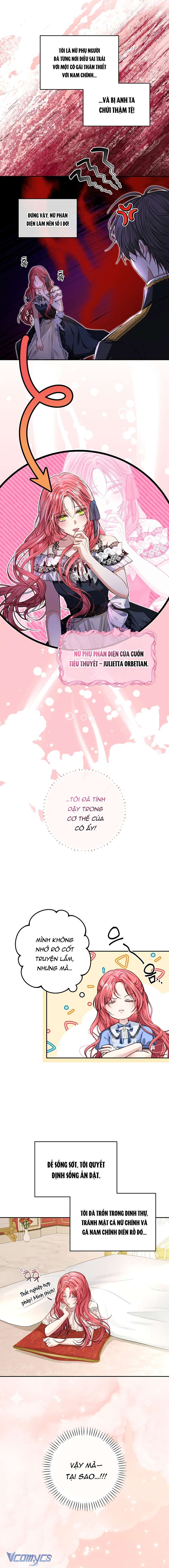 Nam Phụ À, Anh Nói Đó Chỉ Là Hôn Nhân Hợp Đồng Thôi Mà? Chap 1 - Trang 2