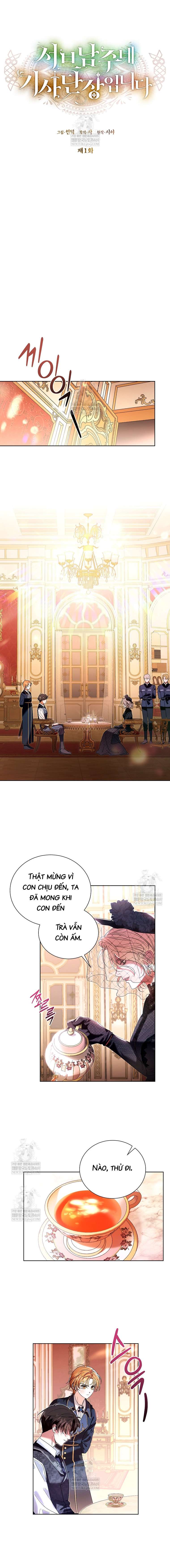 Đoàn Trưởng Kỵ Sĩ Của Nam Phụ Chap 1 - Trang 2