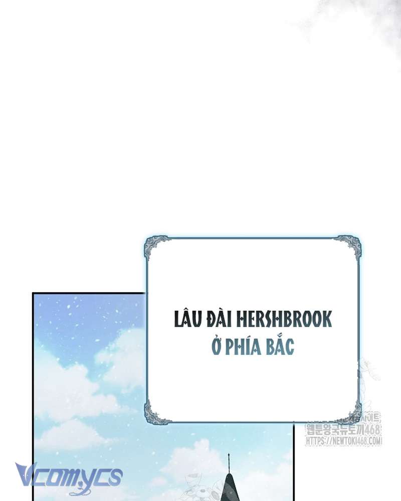 Các Nam Chính Đã Bị Nữ Phụ Cướp Mất Chap 66 - Trang 2