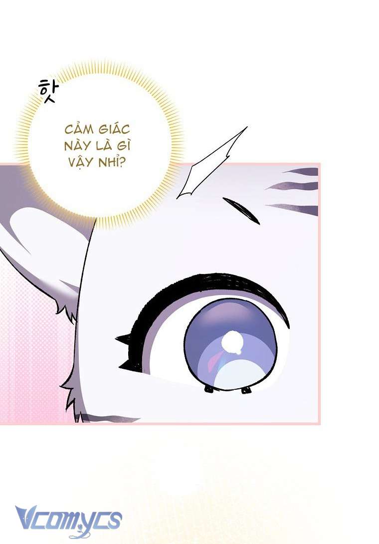 Công Chúa Bạch Hổ Không Có Nguy Hiểm Nha! Chap 2 - Trang 2