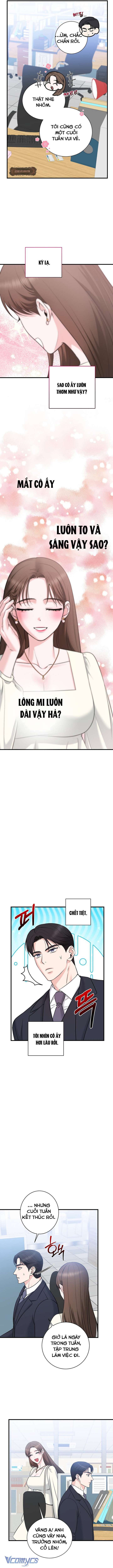 [18+] Bị Ám Ảnh Bởi Người Sếp Đã Từng Từ Chối Tôi Chap 9 - Trang 2