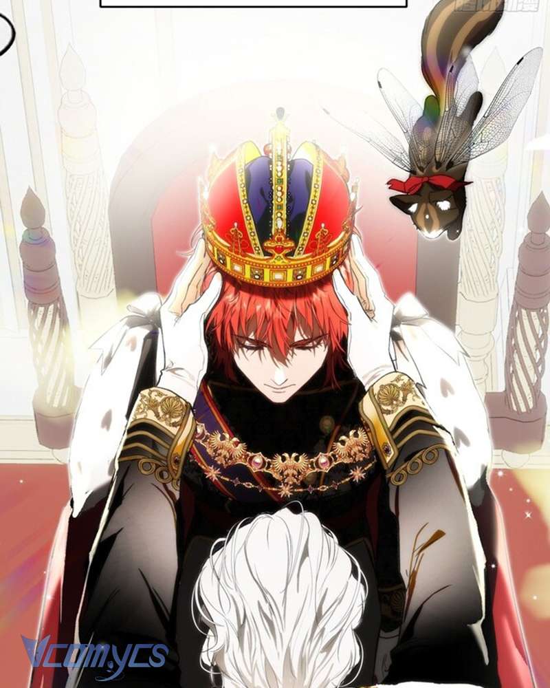 Cô Ấy Sẽ Thuần Hóa Các Anh Hùng Chap 1 - Trang 4