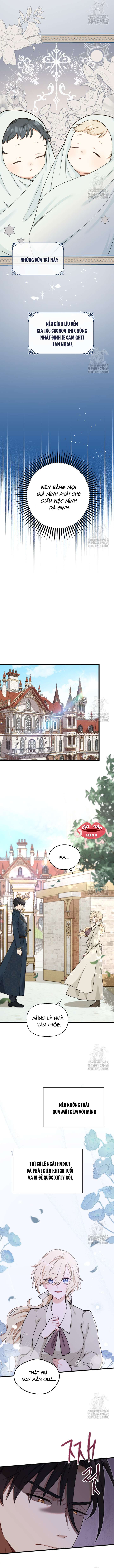 Bệ Hạ, Xin Hãy Quên Tôi Đi Chap 3 - Trang 3