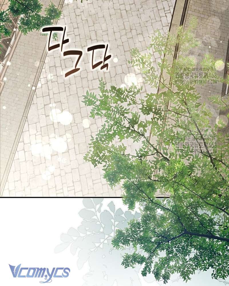 Các Nam Chính Đã Bị Nữ Phụ Cướp Mất Chap 67 - Trang 2