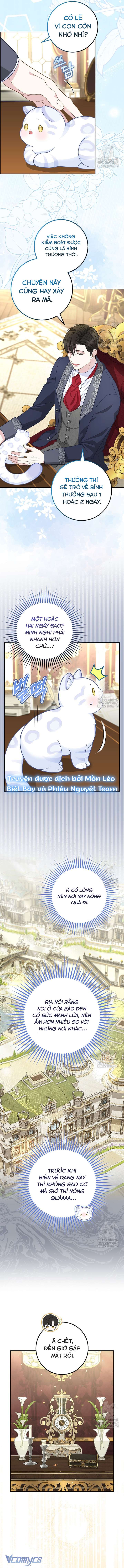 Tiểu Thư Báo Tuyết Của Gia Tộc Báo Đen Chapter 21 - Trang 3