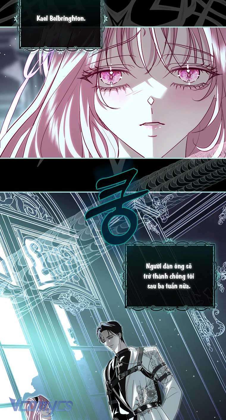 Này Boss Phản Diện, Tôi Có Thể Làm Mọi Thứ Trừ Cưới Ngài Chap 42 - Trang 2