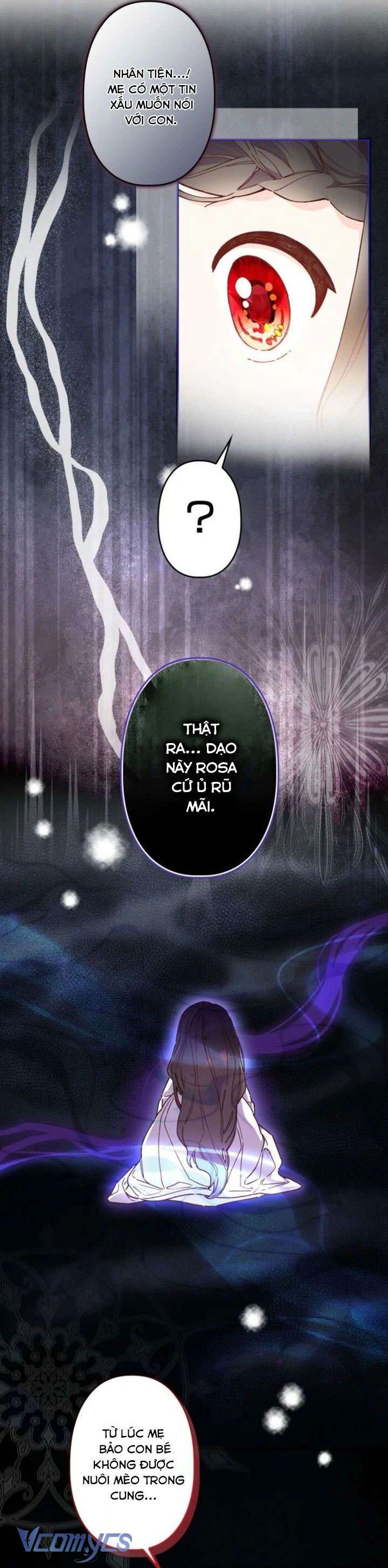 Kiếp Này Em Sẽ Không Sống Dưới Cái Bóng Của Người Chị Song Sinh Chap 10 - Trang 3