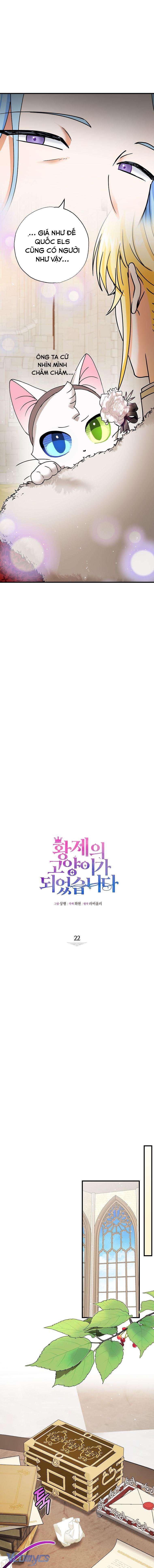 Trở Thành Miêu Nữ Của Hoàng Đế Chapter 22 - Trang 4