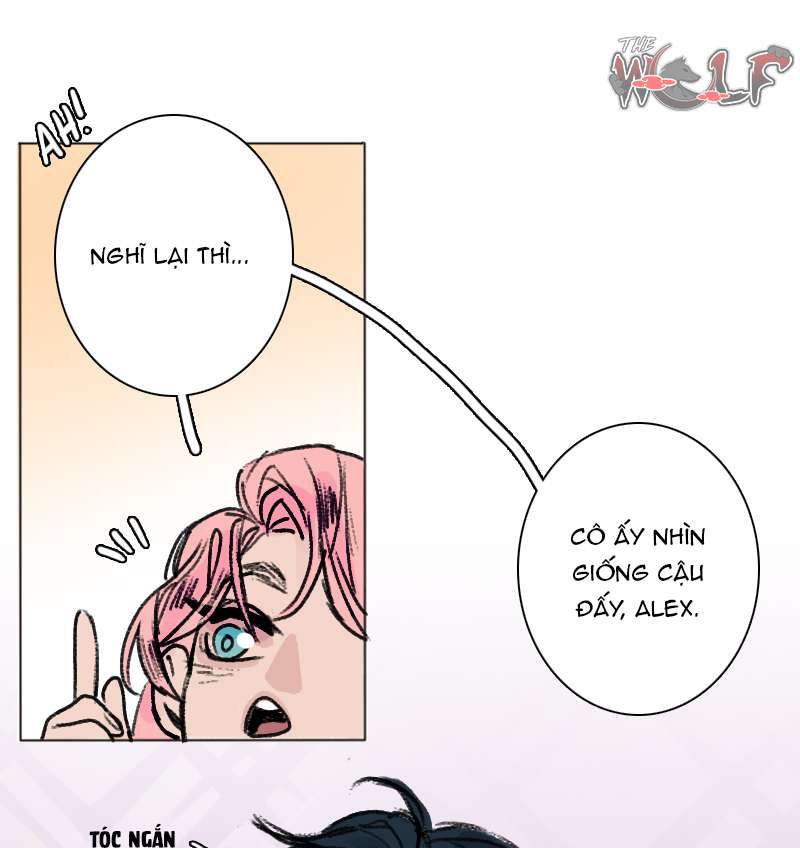 Tình Cờ Thật Đấy Chap 2 - Trang 3