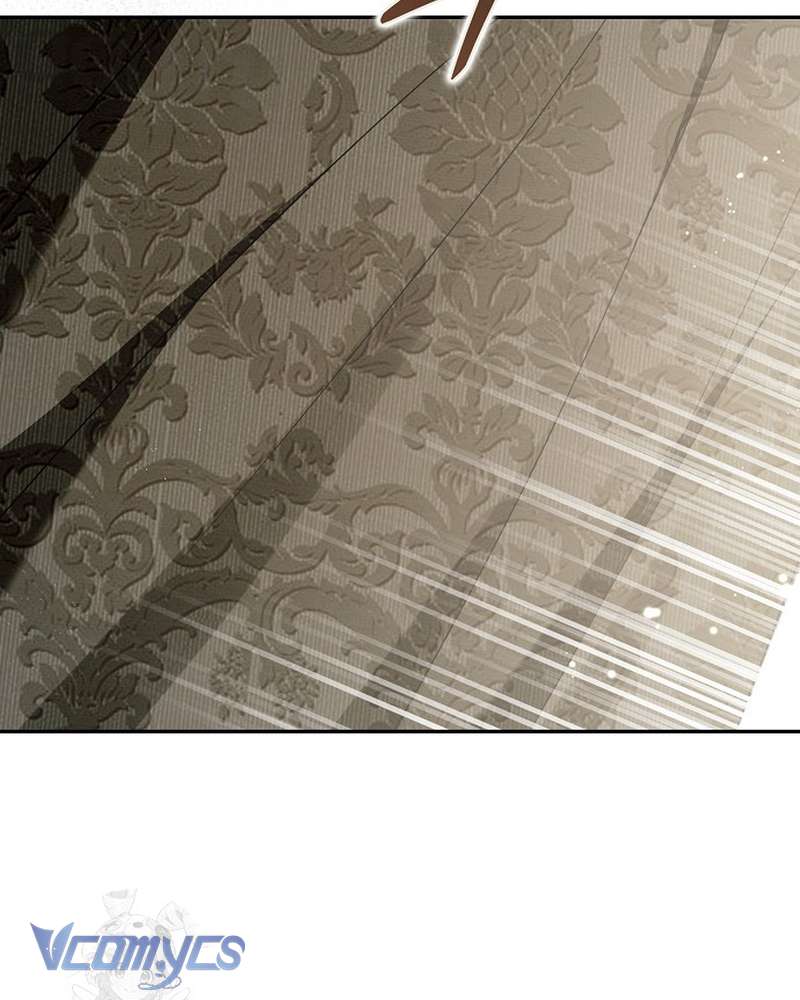 Các Nam Chính Đã Bị Nữ Phụ Cướp Mất Chap 67 - Trang 2