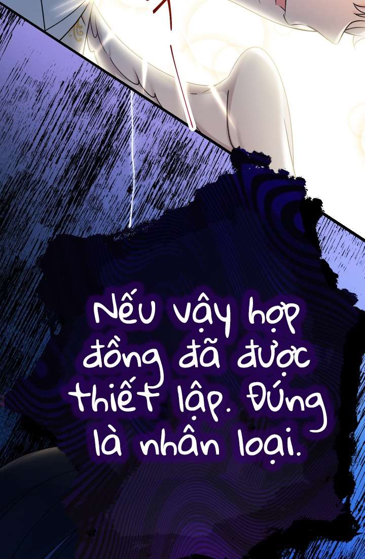 [PNT] Tiểu Thư Tích Tiền Đi Bụi Chap 1 - Trang 2