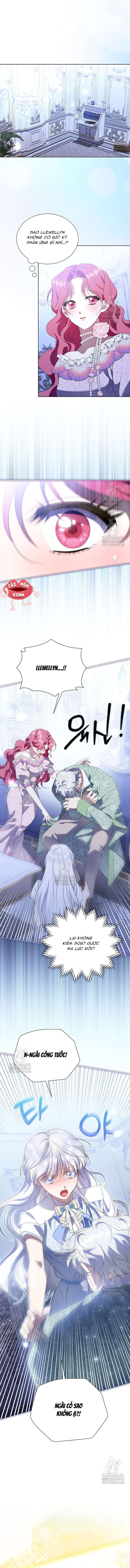 Khi Bị Nam Chính Dịu Dàng Nhưng Cố Chấp Ám Ảnh Chap 28 - Trang 2