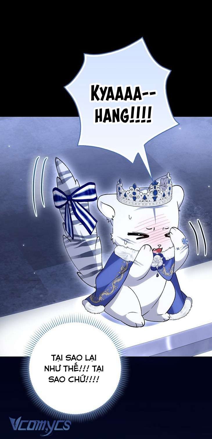 Công Chúa Bạch Hổ Không Có Nguy Hiểm Nha! Chap 11 - Trang 2