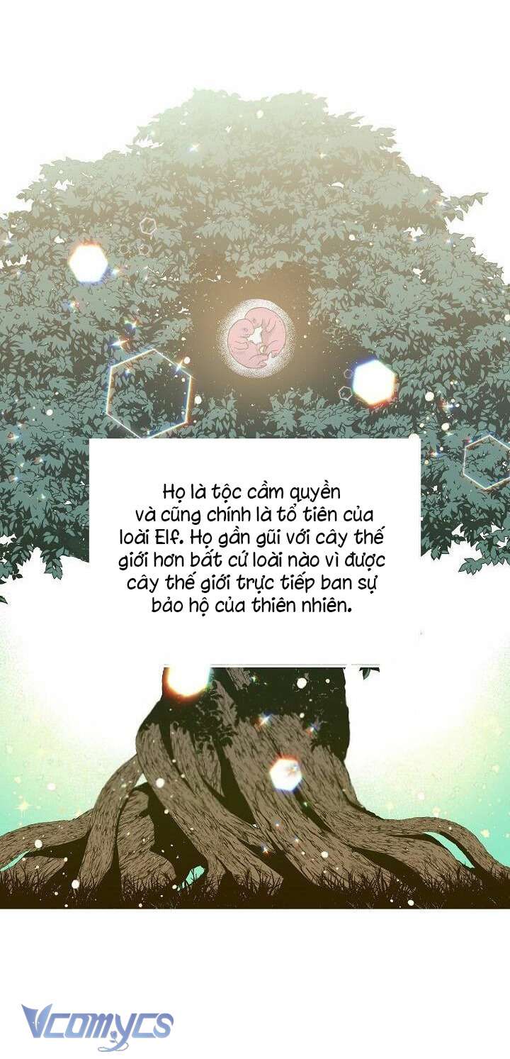 CHITRA Chapter 62 - Trang 4